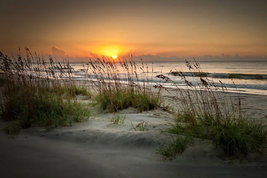 Charleston Summer Morning Beach Soundtrack