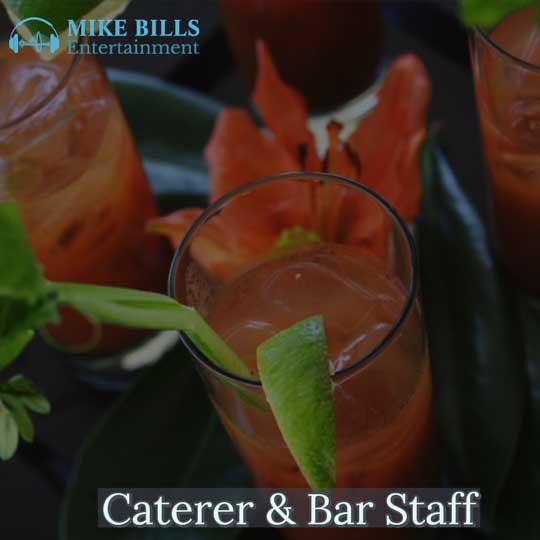 Professional Caterer And Bar Staff